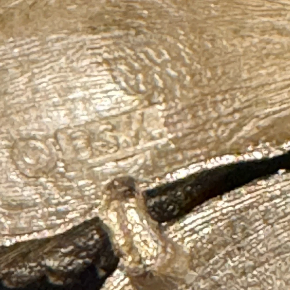 BSK beautiful textured